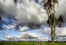 爱游戏-英雄崛起!葡萄牙生死3分钟炼狱到天堂,C罗落泪引爆全球狂欢