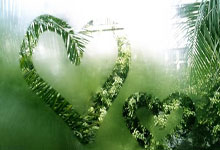 爱游戏官方-寒夜刺刀!孙兴慜94分钟绝杀撕裂安菲尔德,北伦敦血色德比诞生新王