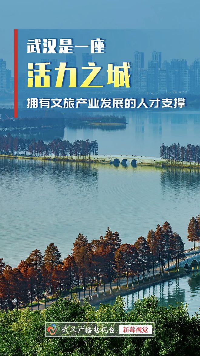 爱游戏体育-宁夏队年轻后备军崛起，展现潜力与活力