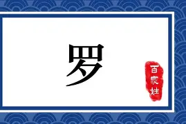 爱游戏-罗特海姆主场告捷,势如破竹