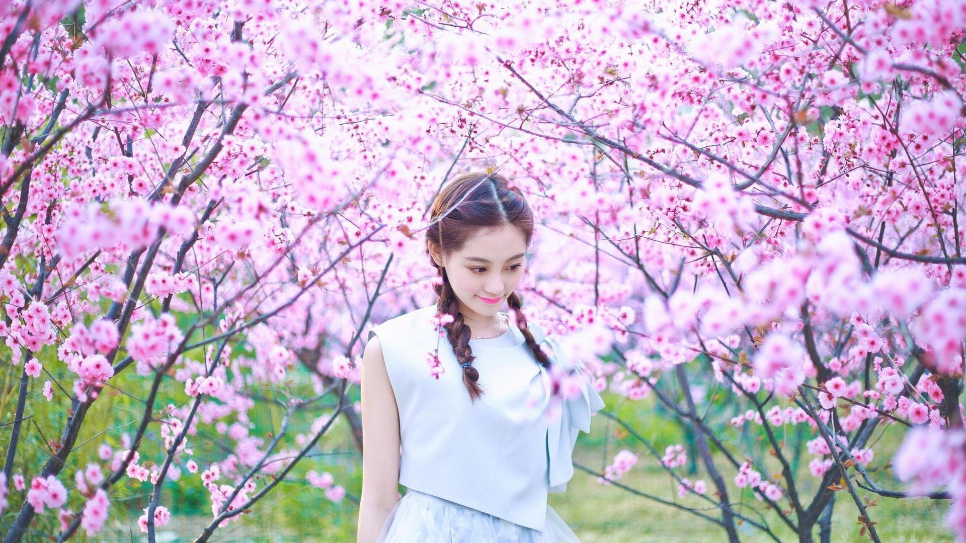 东西同辉，当利拉德用数据编织星辰，广东队以羽翼收割冠军基因