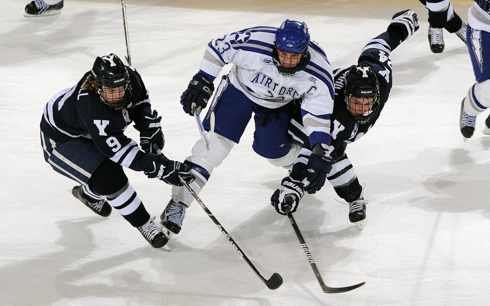 双城记，活塞绝杀骑士与戈贝尔的德甲统治之夜