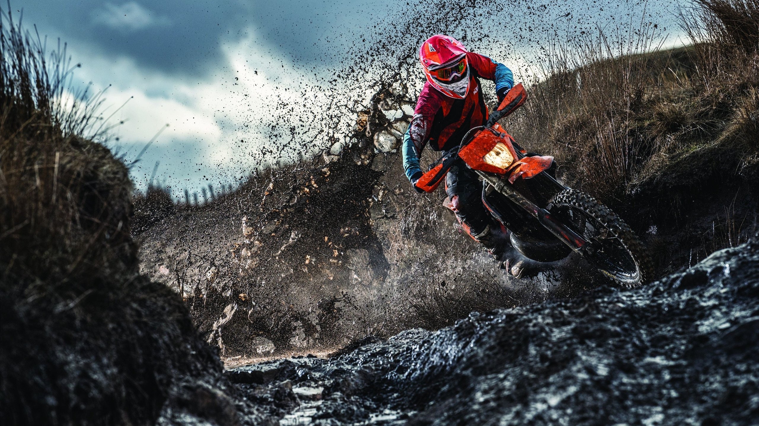 世界只是另一个球场